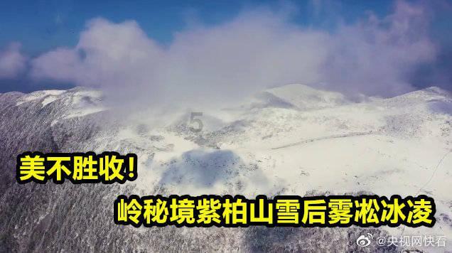 探索浅蓝色羽绒服配什么颜色内搭好看,汇聚分享的红迪社区